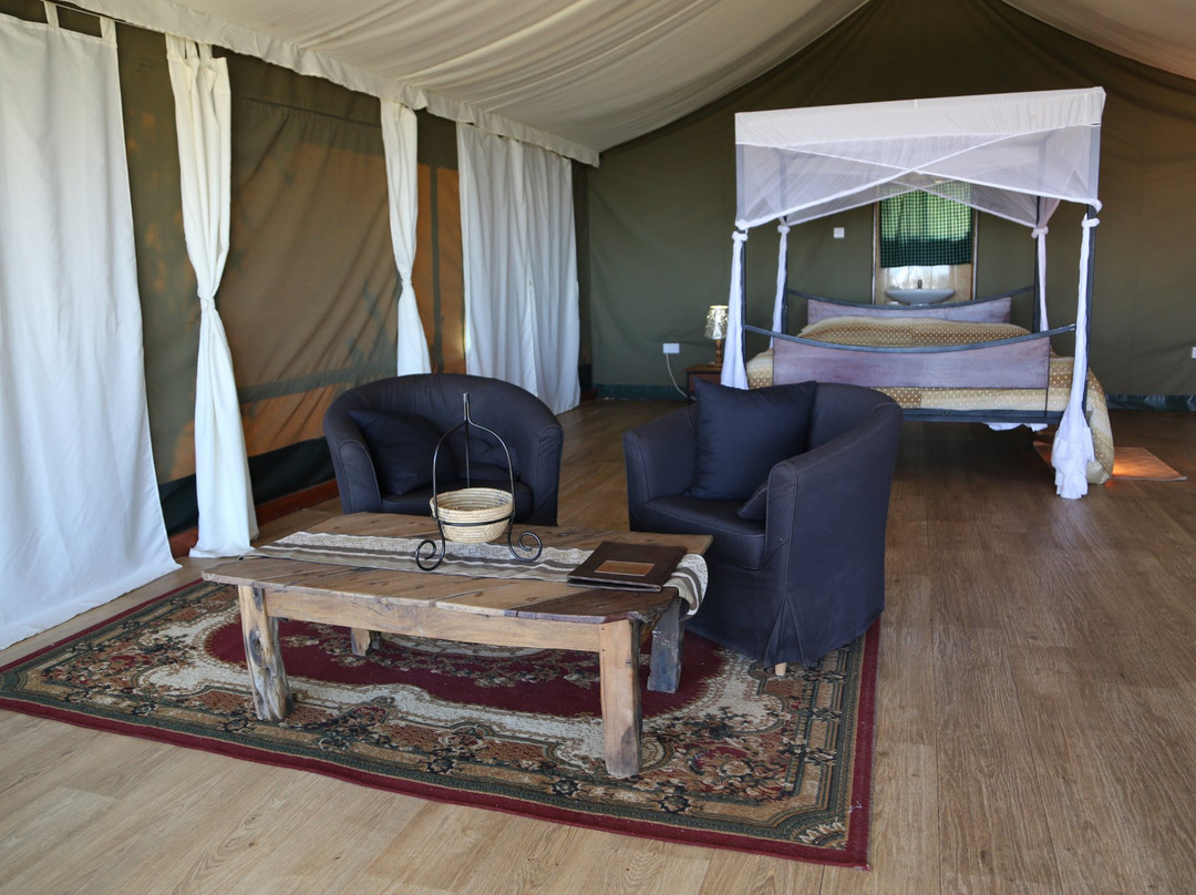 Ngorongoro Lodge & Campsite主图