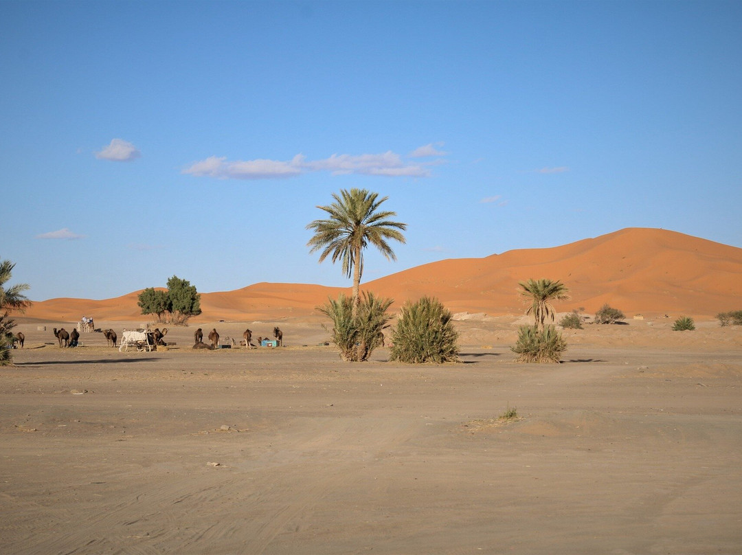 Sahara vibe-扎古拉必去景点
