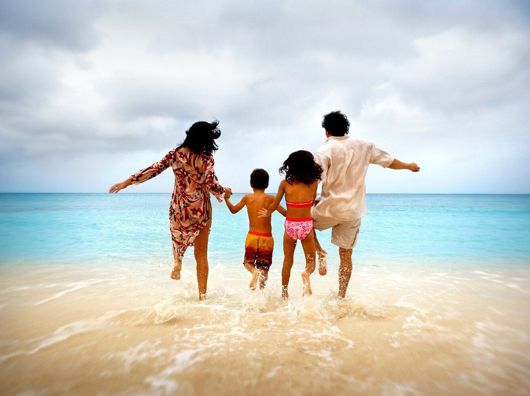 Discover Andaman Holidays Pvt Ltd