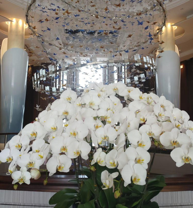 新田美爵酒店主图