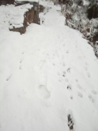 Eco Guest House主图