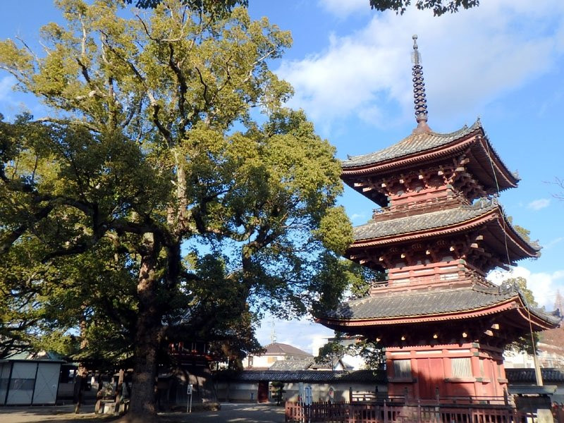 Ikaruga Temple景点图片