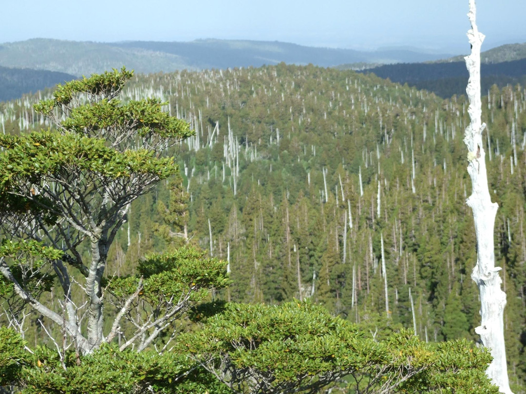 Ciudad La Union旅游攻略图片