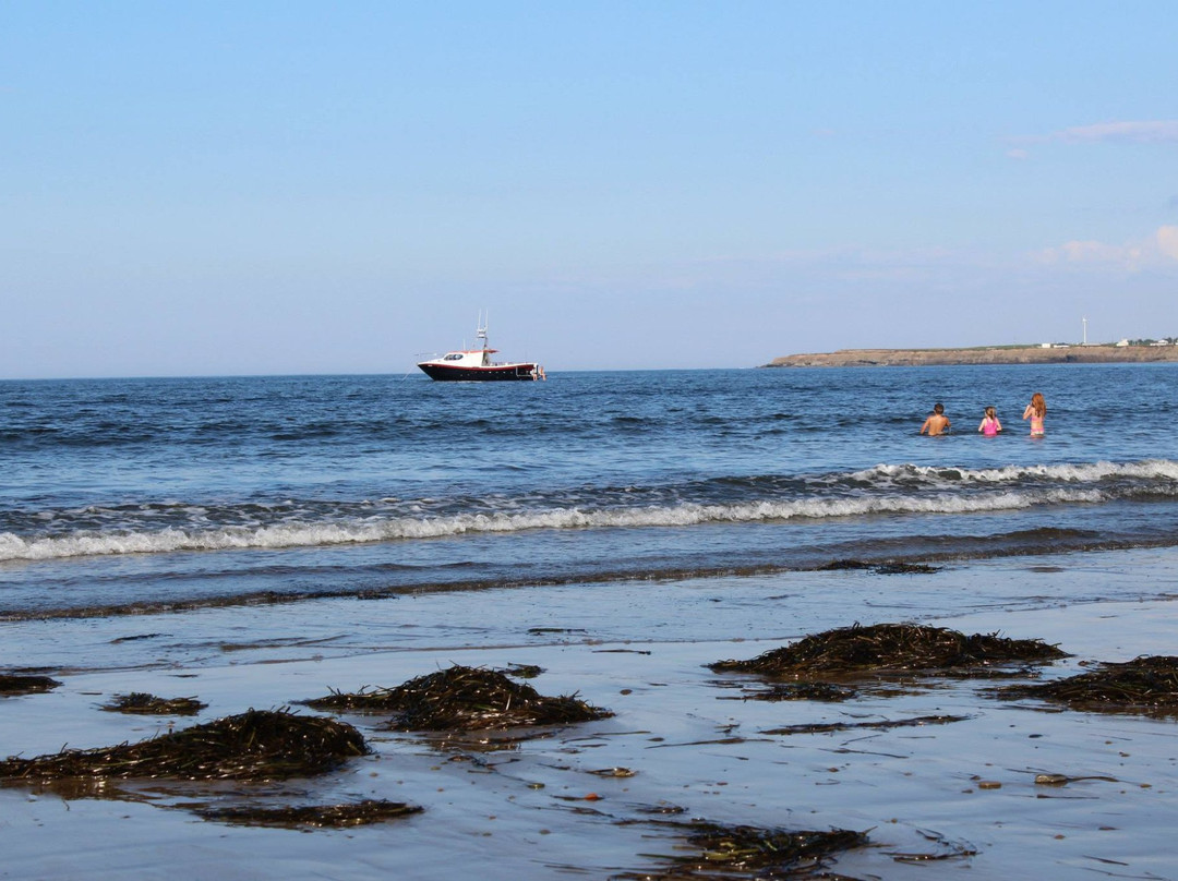 Dominion Beach Provincial Park-Dominion必去景点