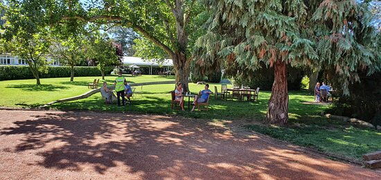 Petersons Armidale Winery景点图片