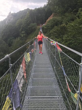 Ponte "Avis''景点图片