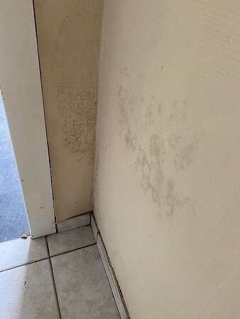 德莫里蒙特庄园酒店主图