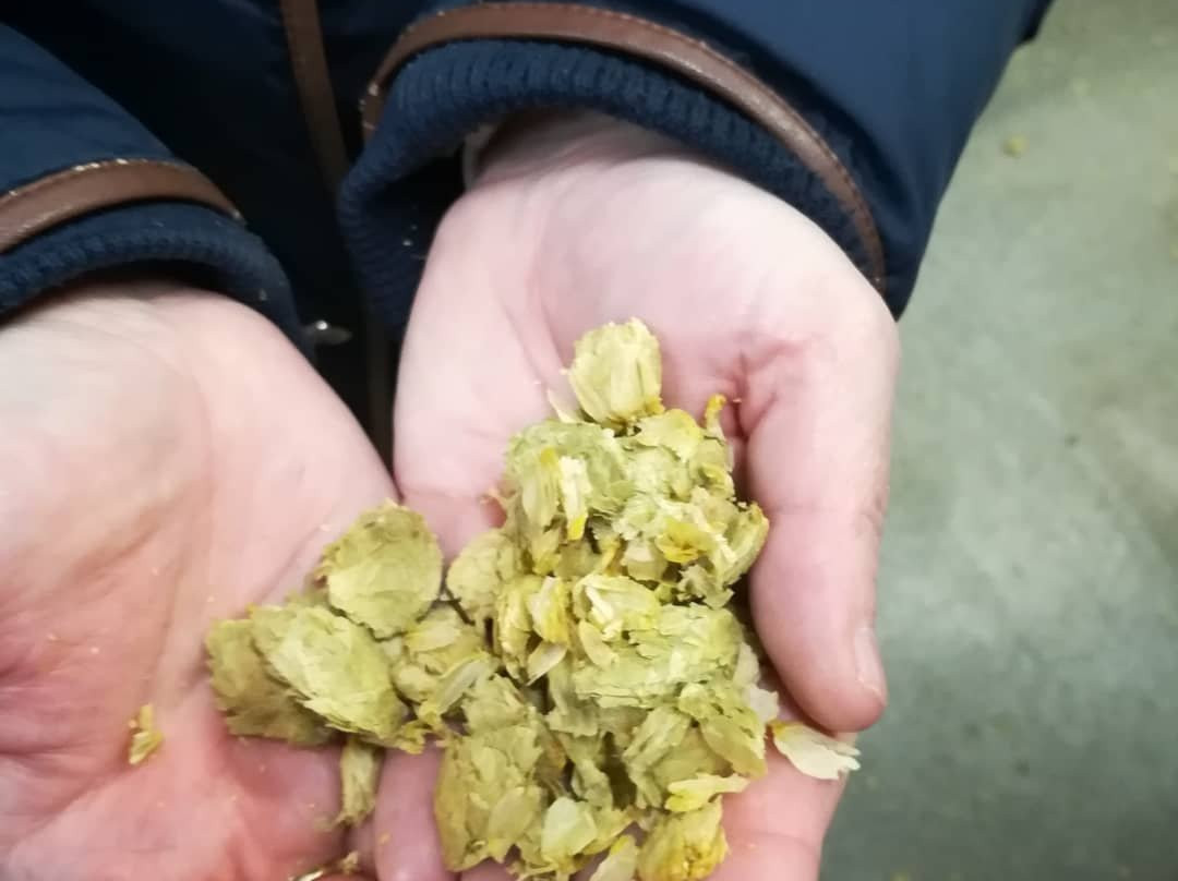 Purity Brewing Company景点图片