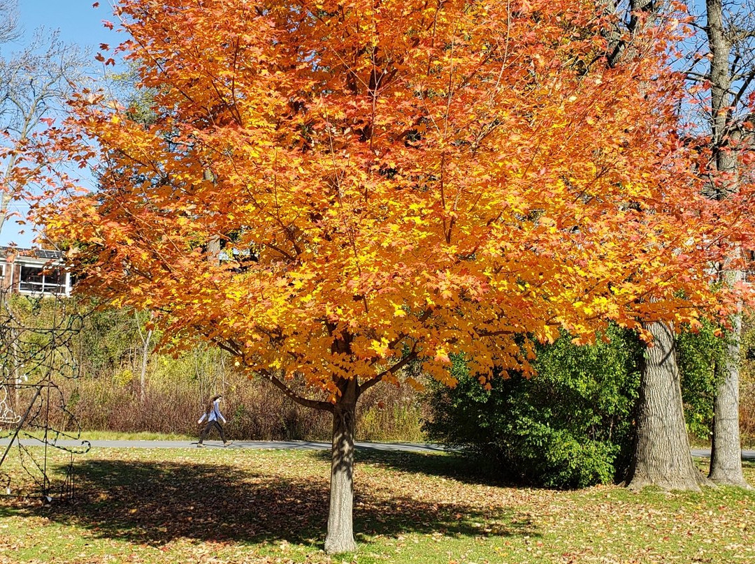 Onondaga Lake Park-Liverpool必去景点