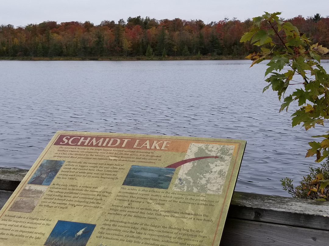 Greenock Swamp Conservation Area景点图片