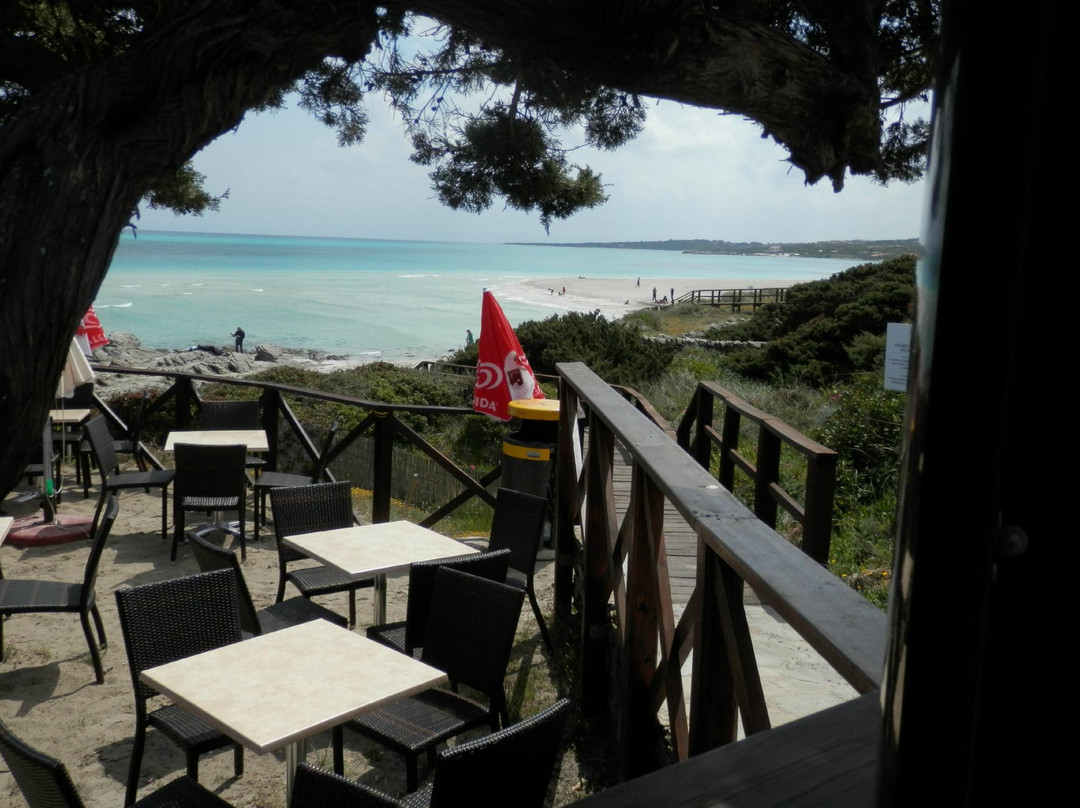 Bar I Ginepri