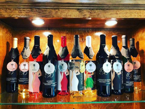 Verona旅游攻略图片