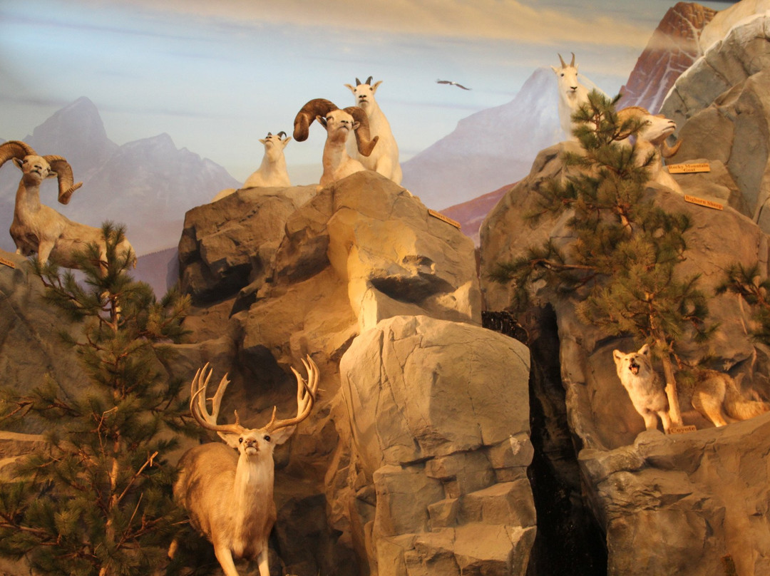 East Grand Forks旅游攻略图片