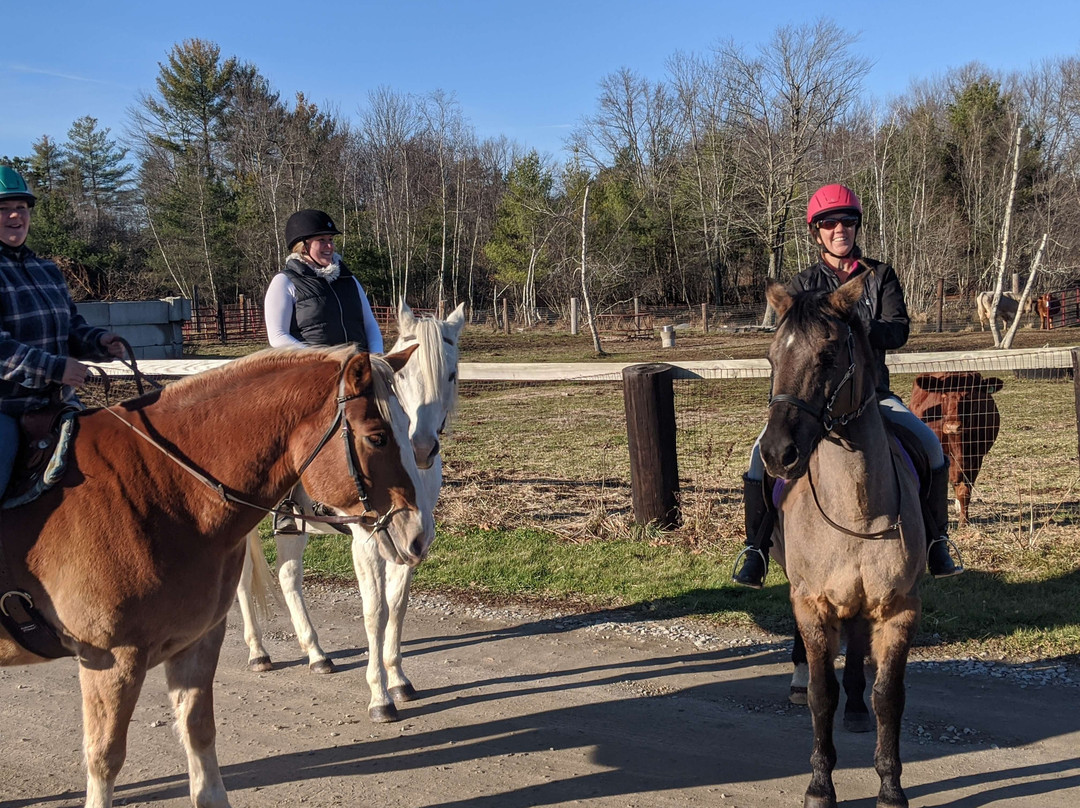 Fremont旅游攻略图片