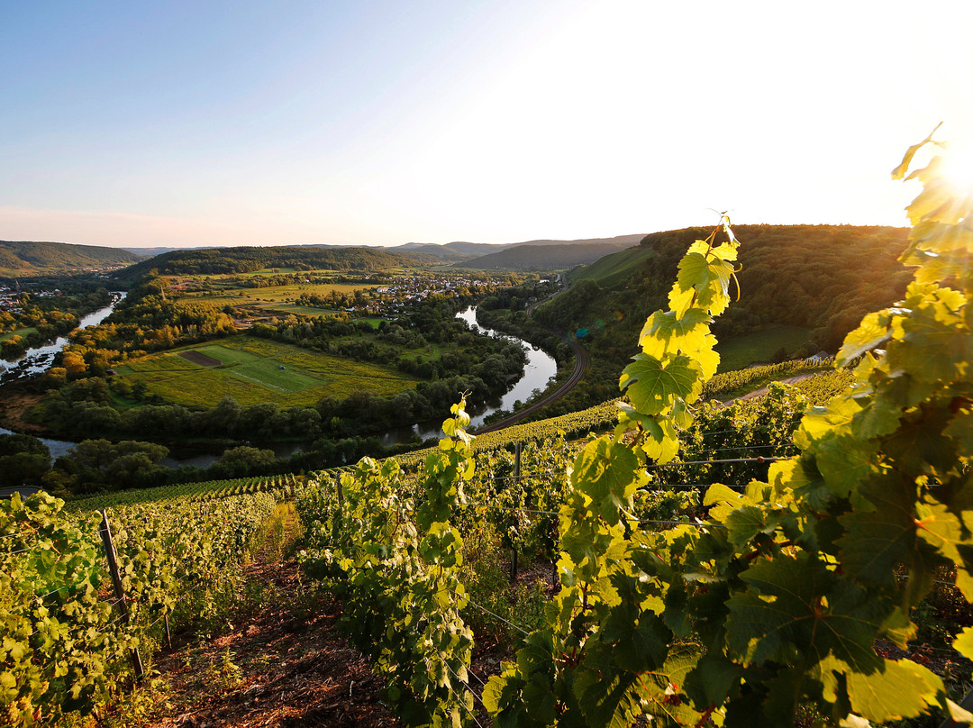 Wiltingen旅游攻略图片