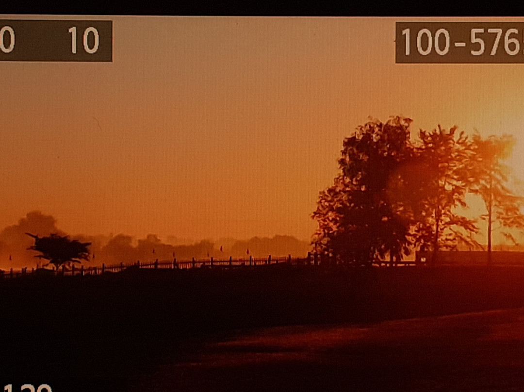 Holbrook旅游攻略图片