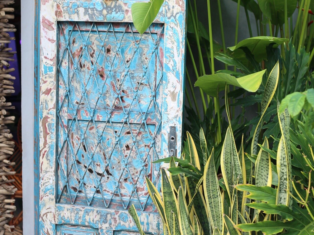 Abô Botânica & Café