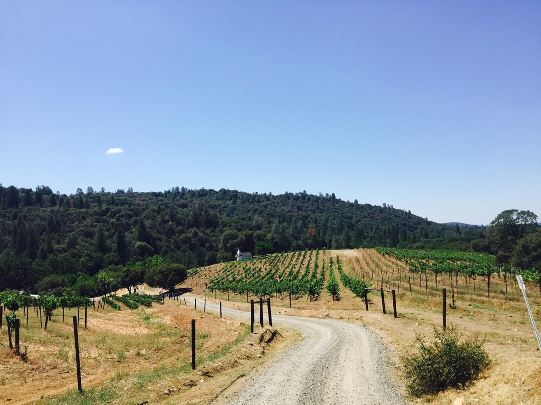 Butterfly Creek Winery & Vineyards景点图片
