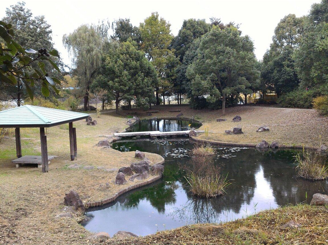 Kaname Shinsui Park景点图片