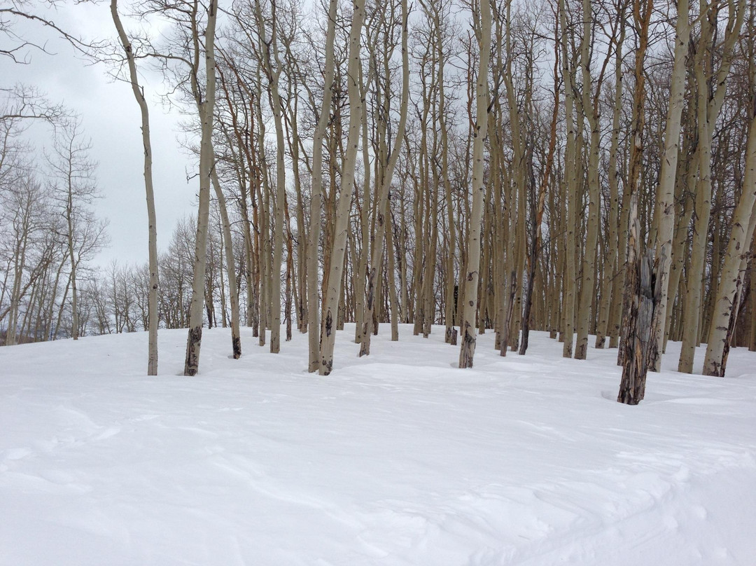 Beaver Creek Nordic Center