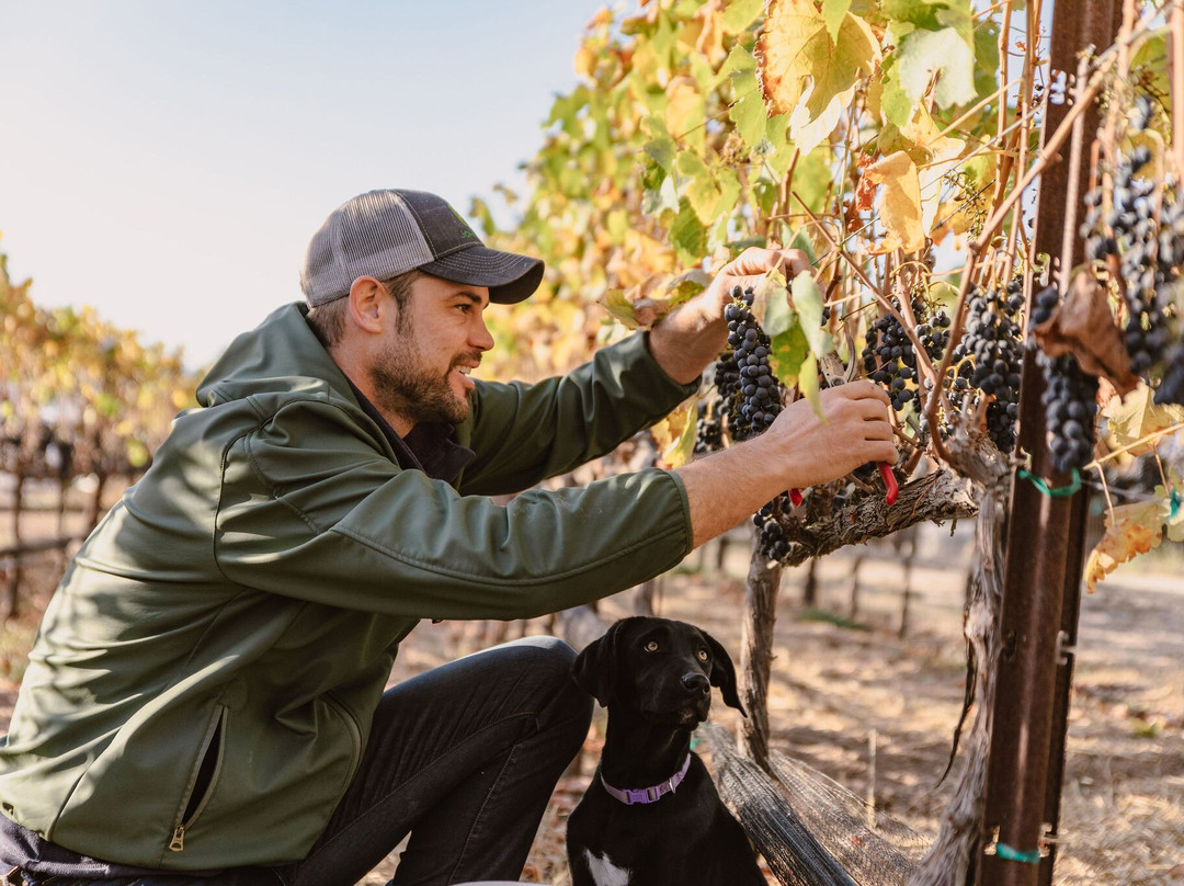 McKinney Family Vineyards