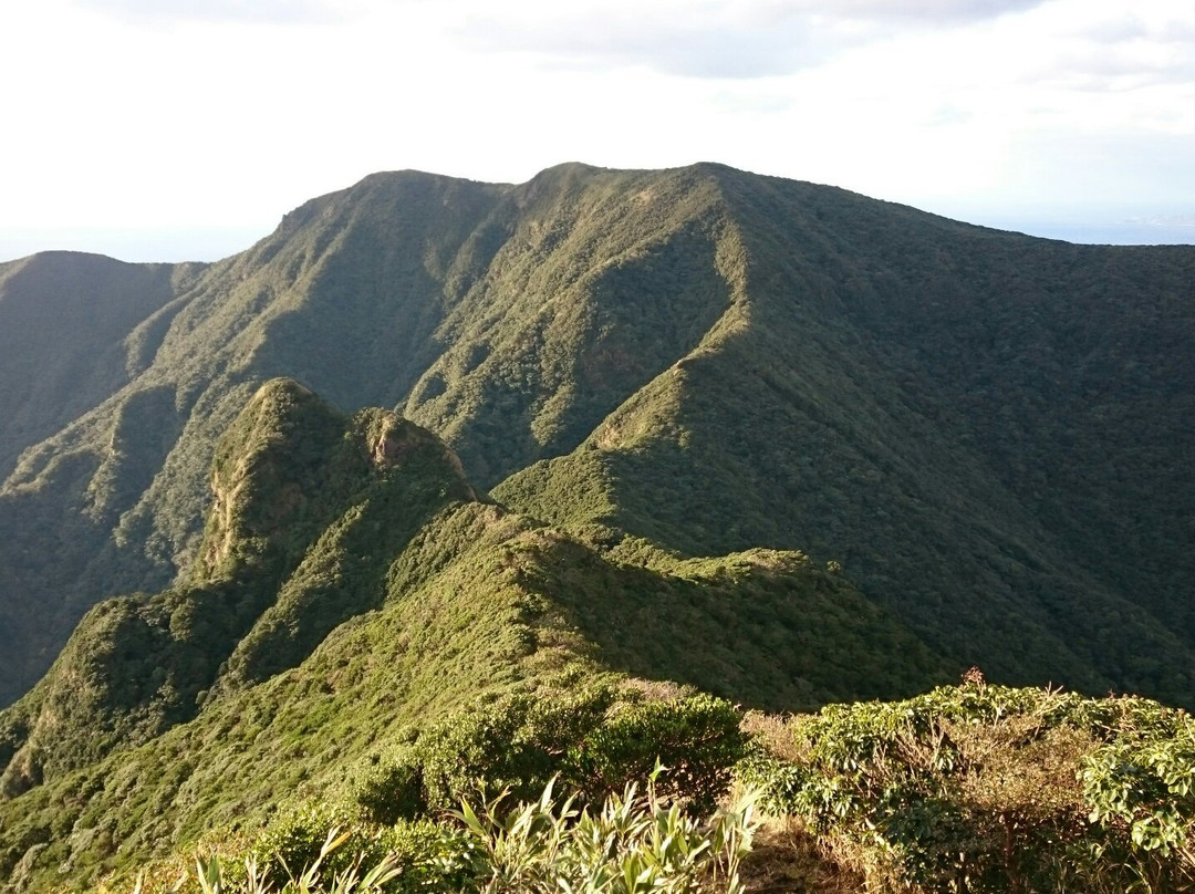 Nagataki Mountain景点图片
