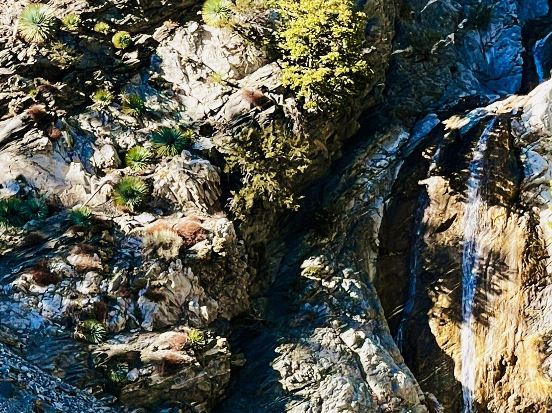 Old Baldy-Wimberley必去景点