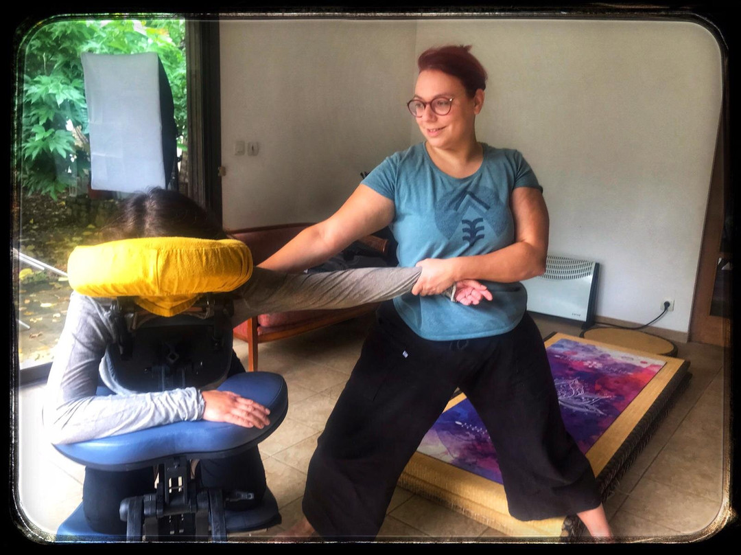 Aux Couleurs Du Caméléon