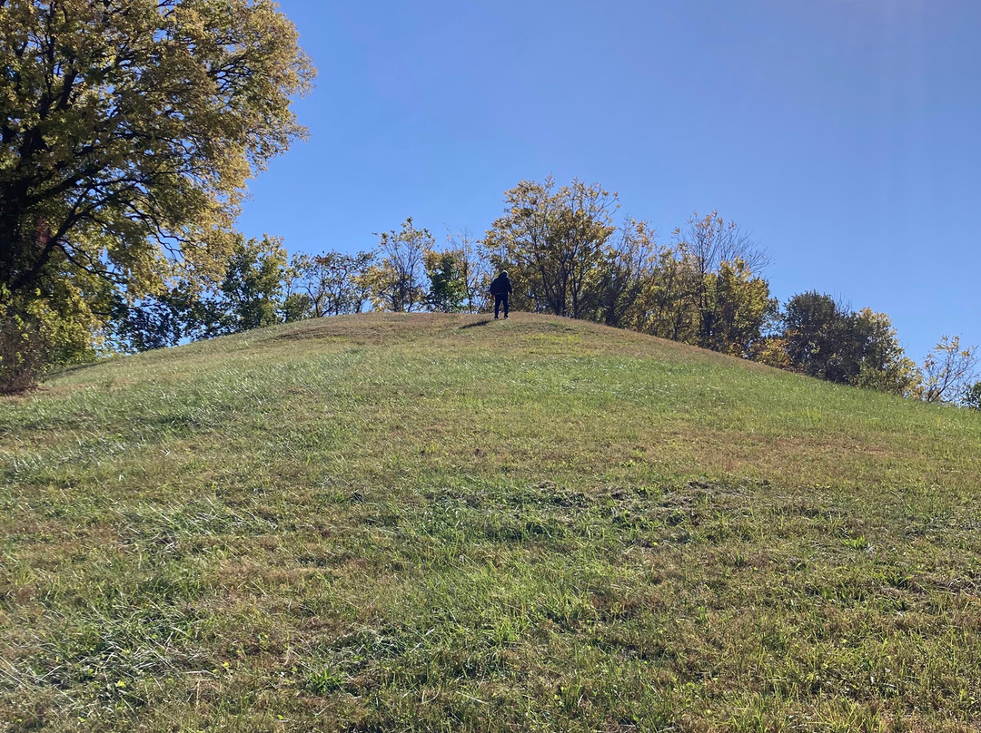 Sugarloaf Mound景点图片