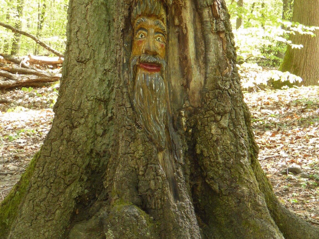 Steckeschlääferklamm