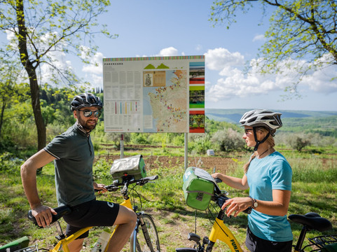 FUNActive Tours-多比亚科必去景点