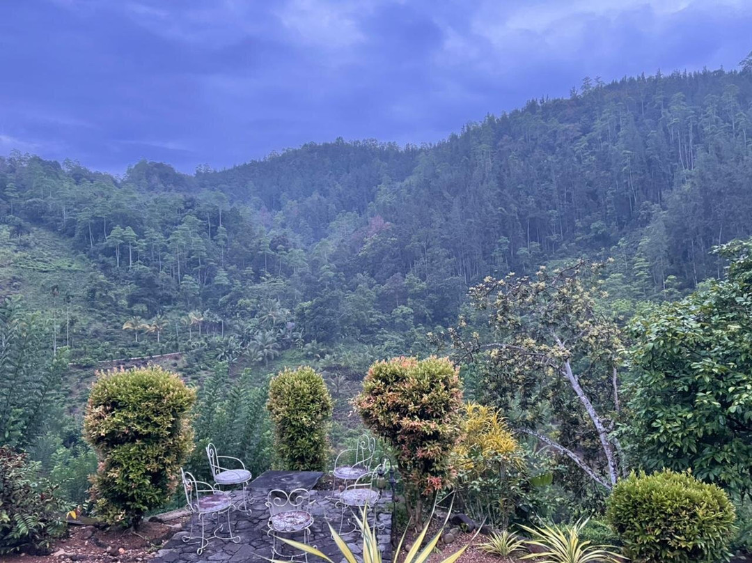 Jansens Bungalow主图