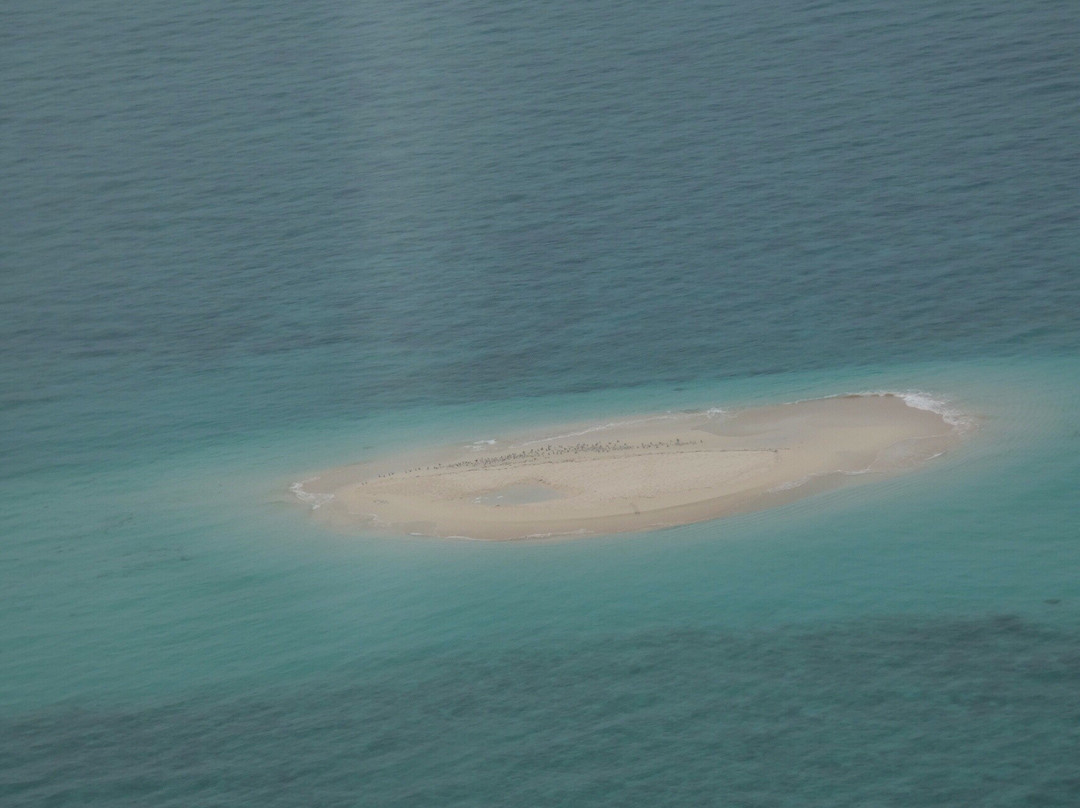 Cairns Scenics景点图片