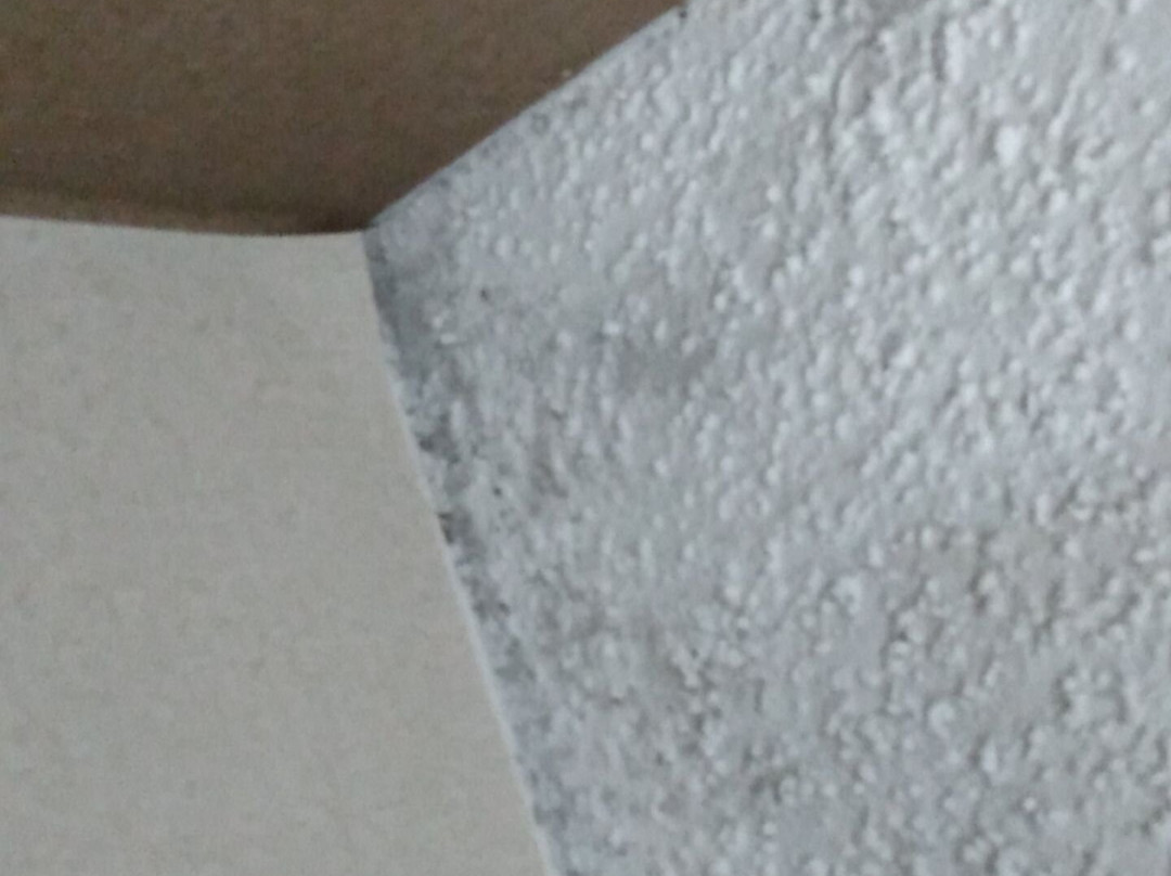 Quality Inn & Suites主图