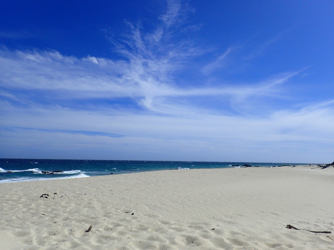 La Valise Los Cabos主图