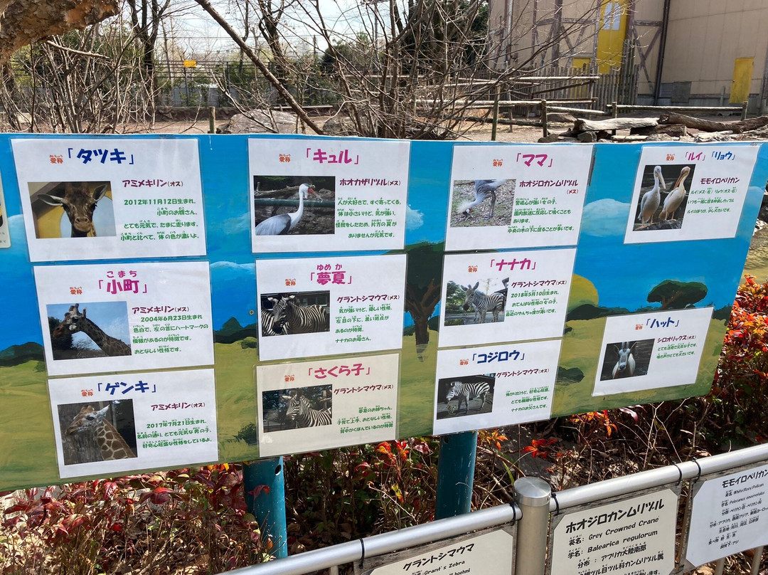 Hamura Zoo-羽村市必去景点