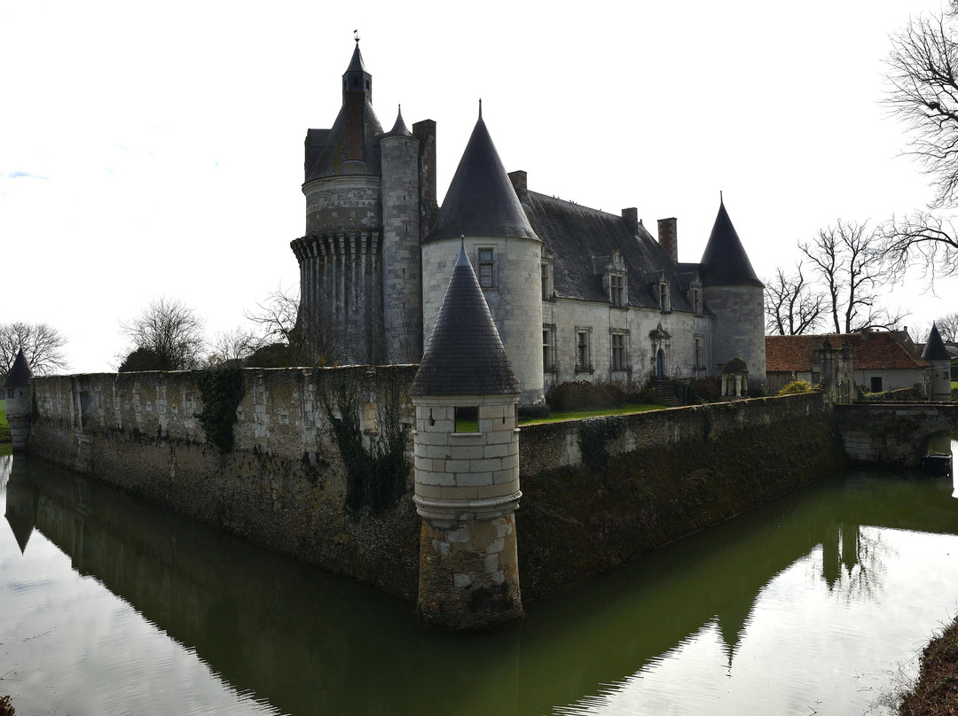 Chateau de Coussay景点图片
