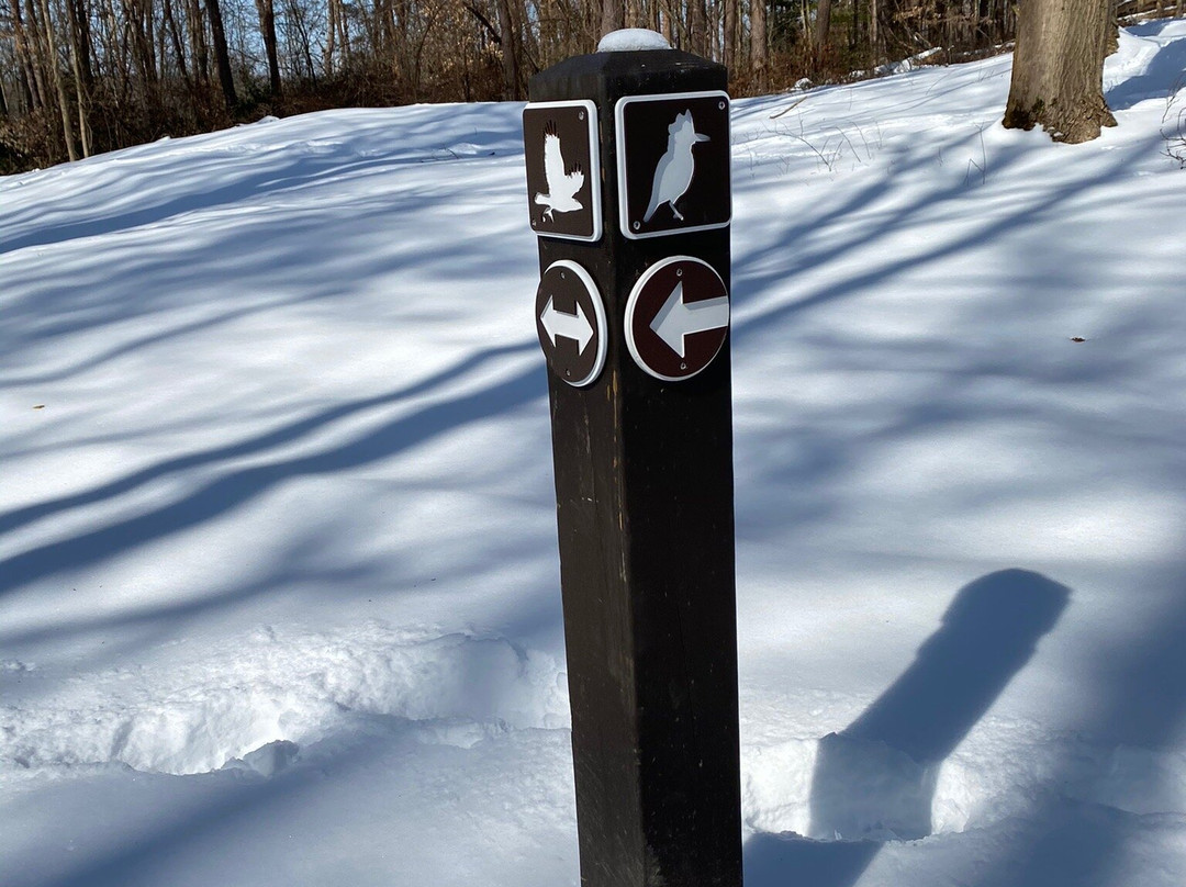 Trail Lake Park-Streetsboro必去景点