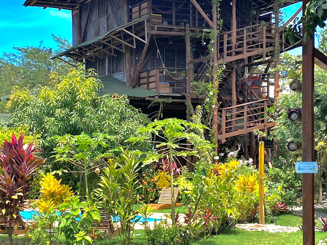 Nuba Boutique Hostel主图