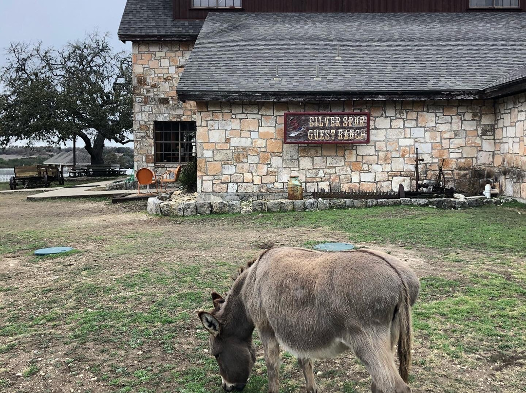 Silver Spur Ranch景点图片