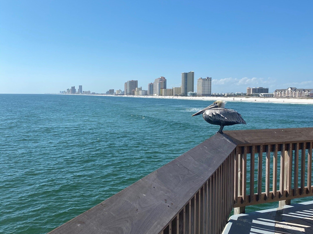Gulf State Park Fishing Pier-格尔夫海岸必去景点
