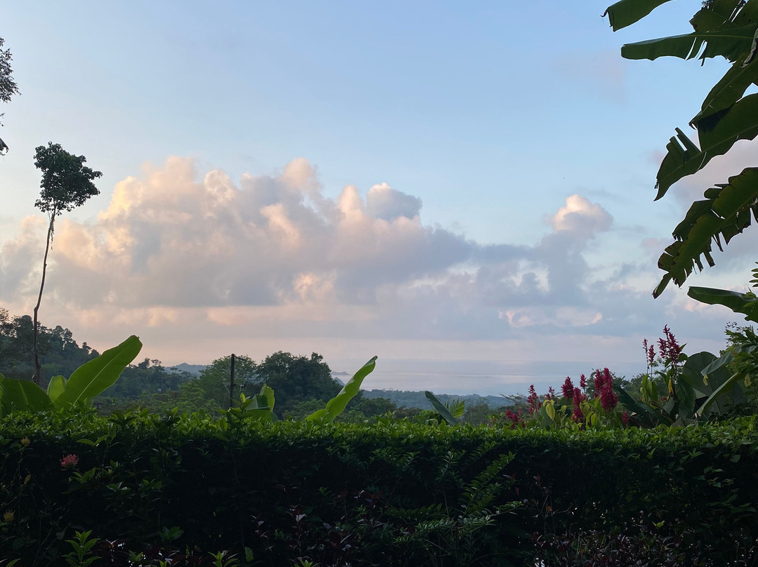 Oxygen Jungle Villas & Spa主图