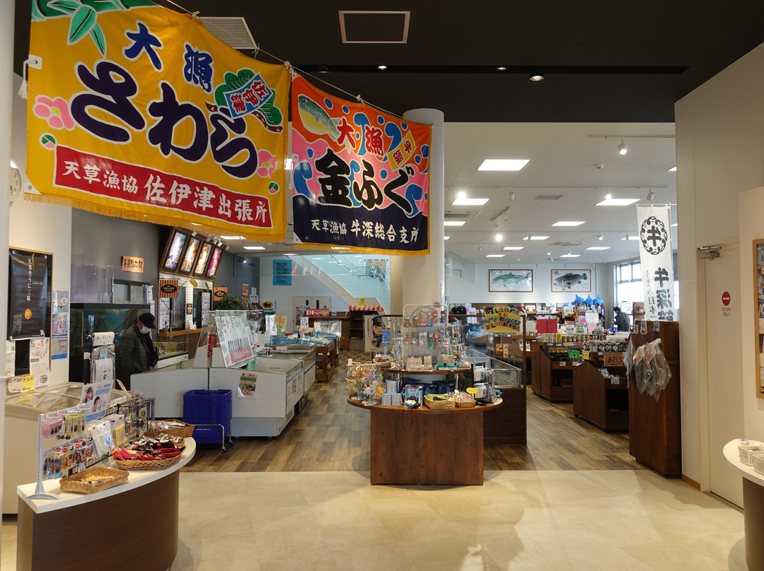 Michi no Eki Amakusa Dolphin Center景点图片