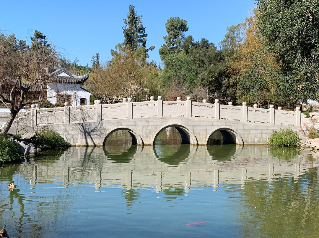 Huntington Chinese Garden景点图片