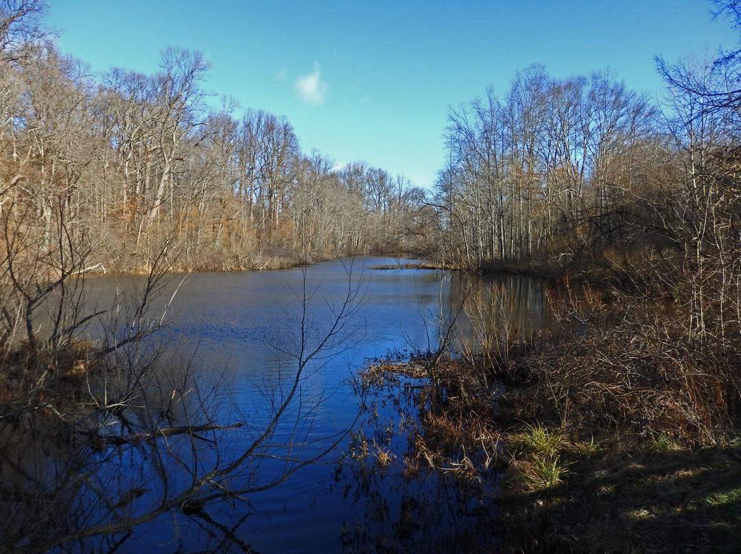 Watchung Reservation-Mountainside必去景点