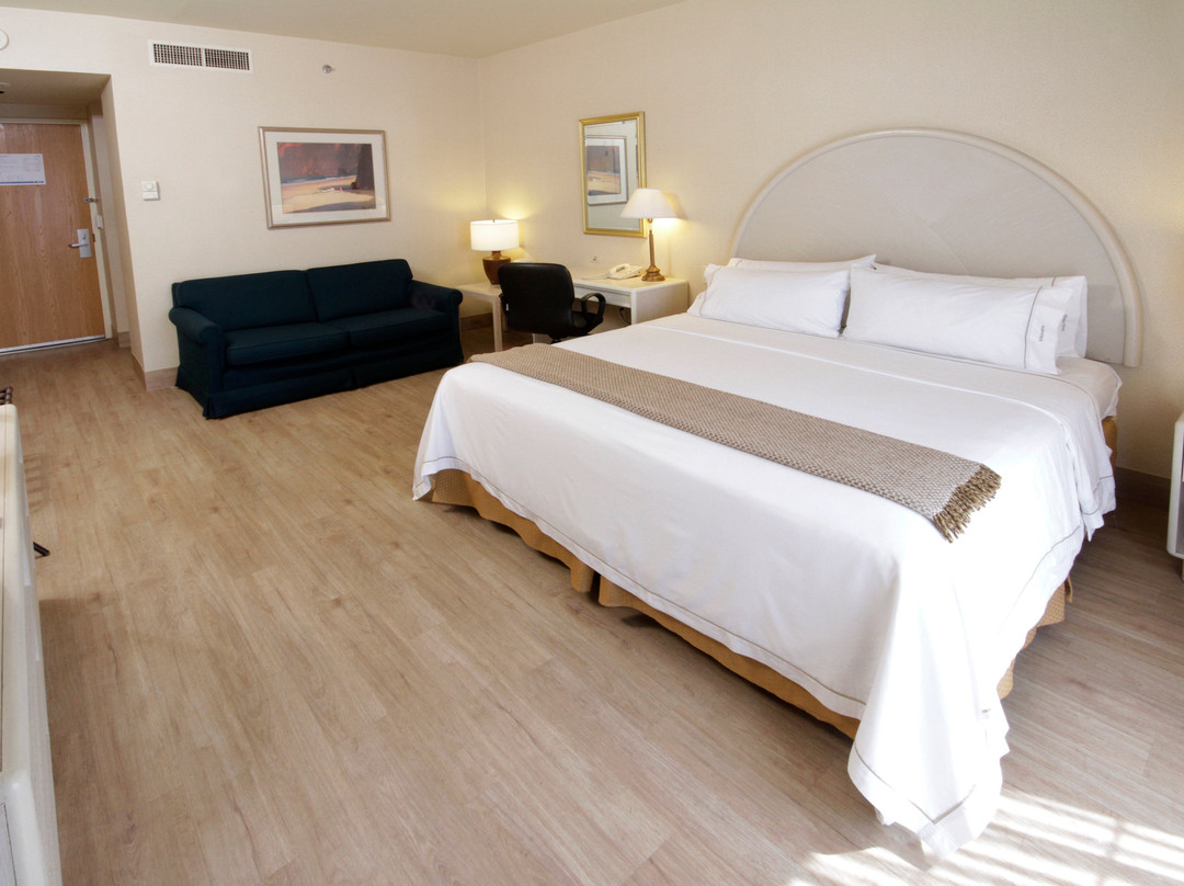 Holiday Inn Express 托雷翁主图