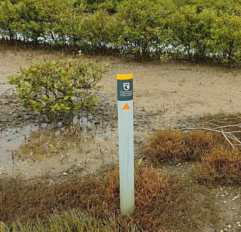 Motukiore Island-Whangarei Heads必去景点