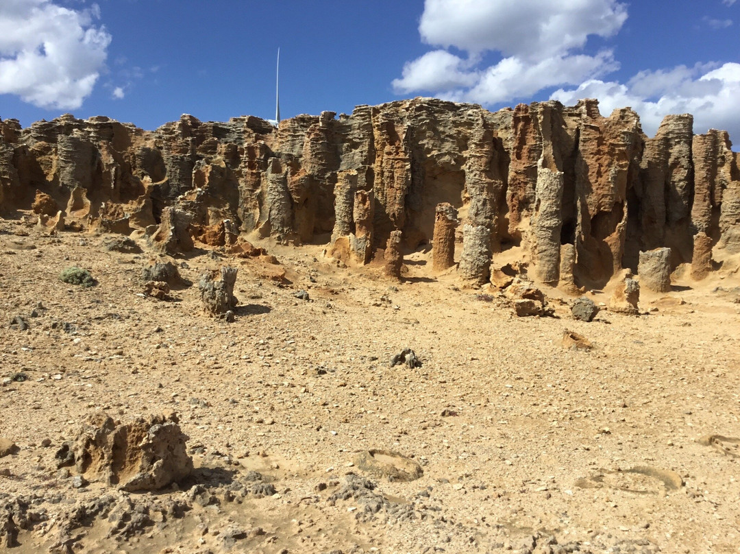 Petrified Forest and Blowholes-Cape Bridgewater必去景点