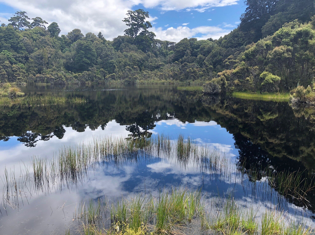 Lake Wilkie景点图片