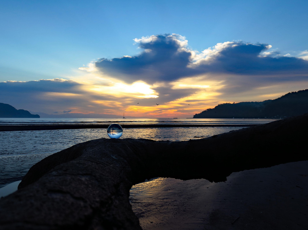 坦伯尔热带酒店主图